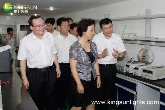 Kingsun LED